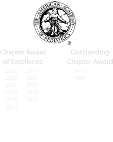 chapter-awards225